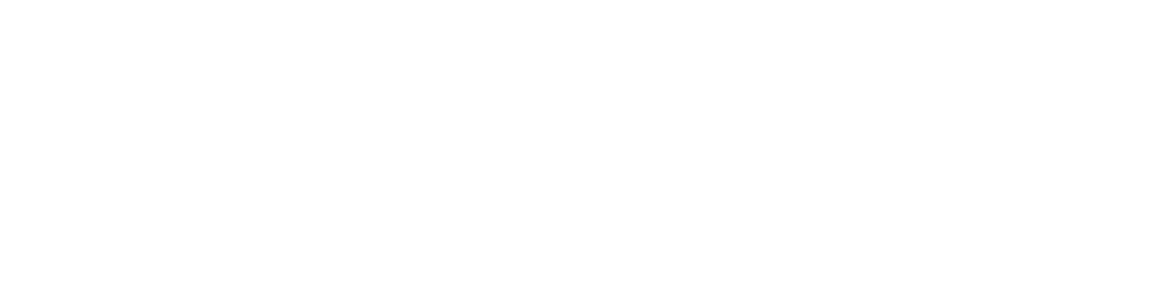 visa gard logo in white color